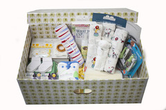 The Everything But The Stork Box