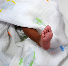 Baby Bundle