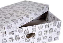 The Bed Box