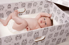 The Bed Box