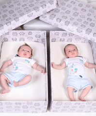 The Bed Box