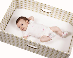 The Bed Box