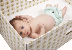 The Bed Box