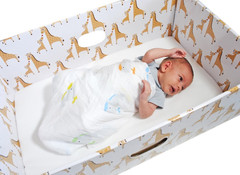 The Bed Box