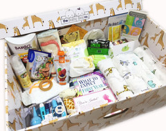 The Everything But The Stork Box