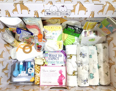 The Everything But The Stork Box