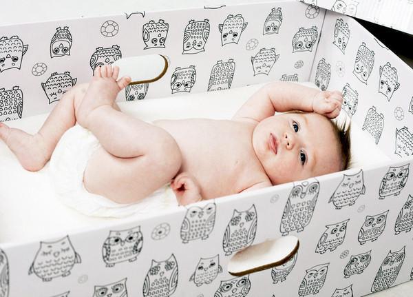 The Bed Box