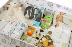 The Everything But The Stork Box
